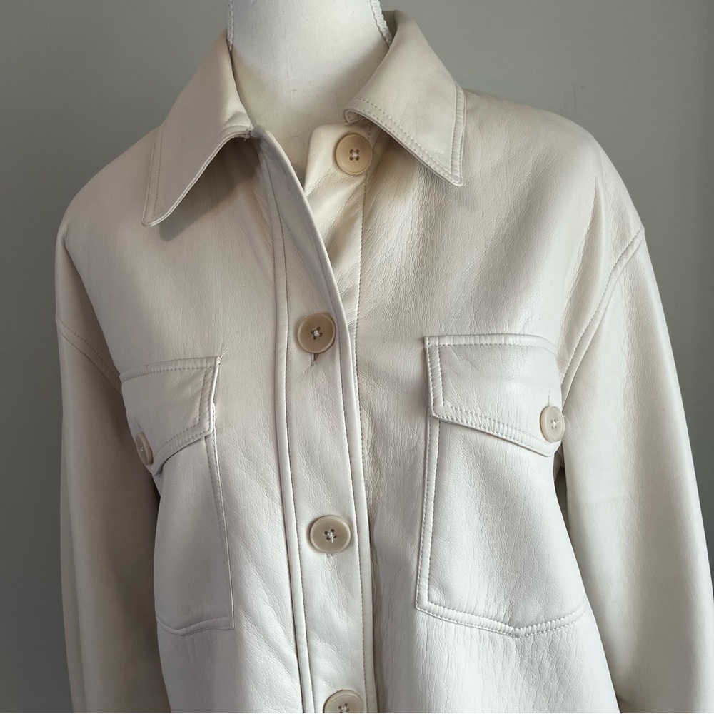 Faux Leather Jacket (Aritzia)